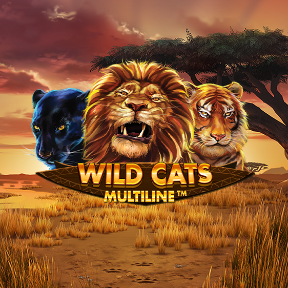 Wild Cats Multiline