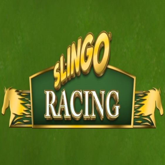 Slingo Racing