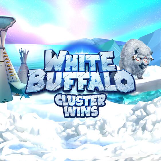 White Buffalo